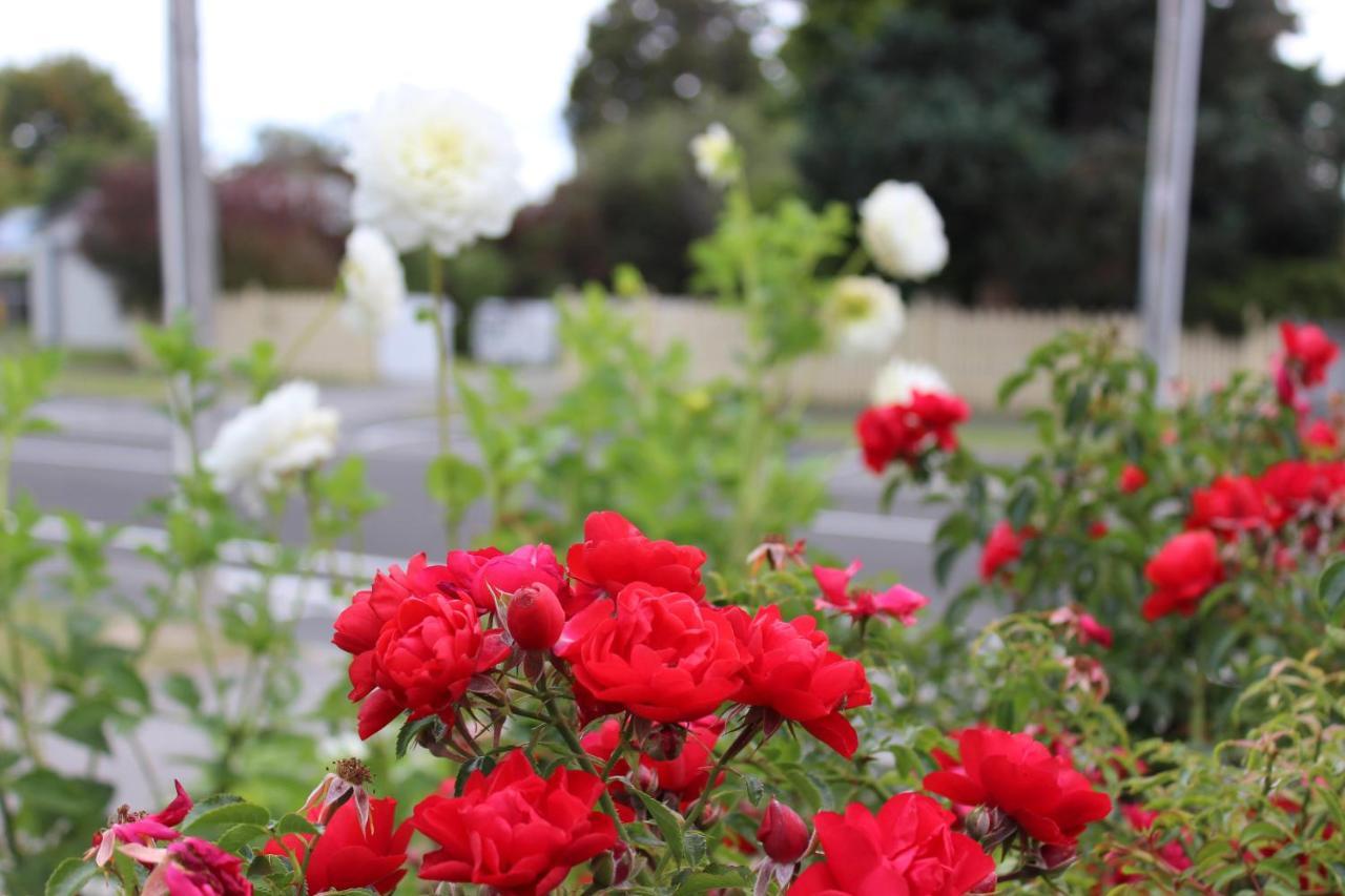 Bram'S Bach Villa Taupo Luaran gambar